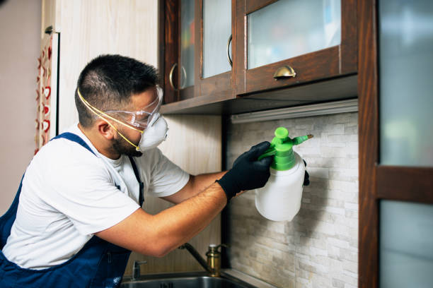 Professional Pest Control in Brookdale, CA