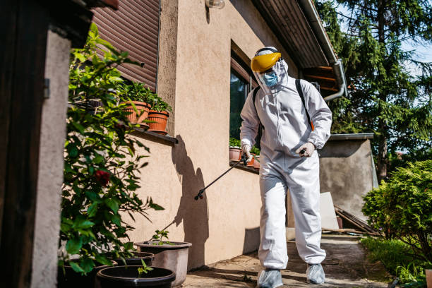 Best Rat Extermination Near Me  in Brookdale, CA