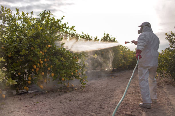 Wildlife Control Services in Brookdale, CA