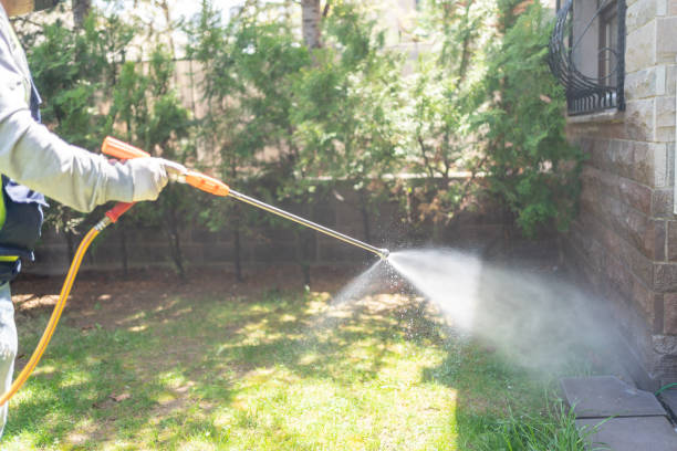 Best Termite Control Services  in Brookdale, CA