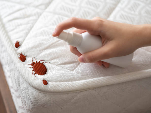 Best Local Pest Control Services  in Brookdale, CA
