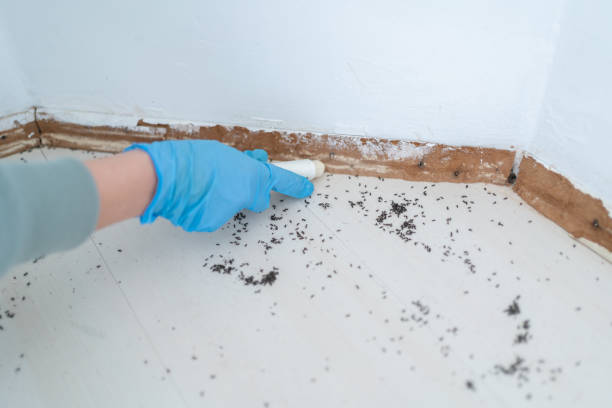 Pest Control for Restaurants in Brookdale, CA