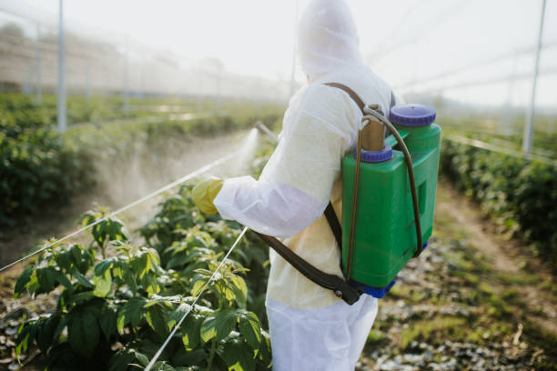 Best Commercial Pest Control Services  in Brookdale, CA